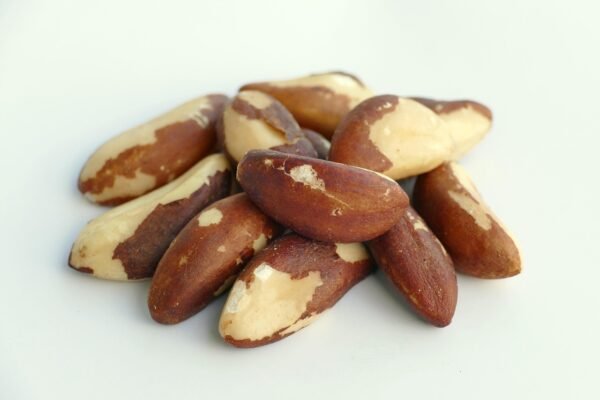 nuts, proteins, snack, brazil nut, kernels, brazil nut kernels, bertholletia excelsa, minerals, food, superfood, nourishment, nuts, brazil nut, brazil nut, brazil nut, brazil nut, brazil nut
