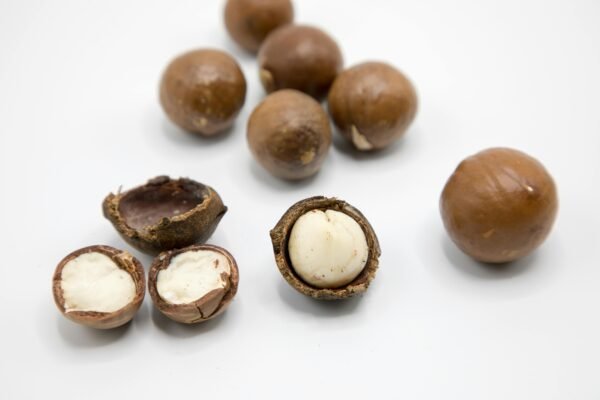 pexels-photo-8162043-8162043 Detailed view of raw macadamia nuts showing whole and open shells on a white background.